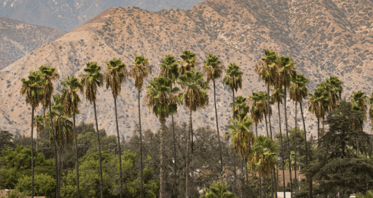 Canyon City Azusa, California