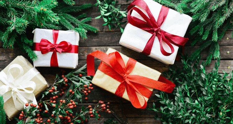 20 Best Christmas Gifts for a Nursing Student