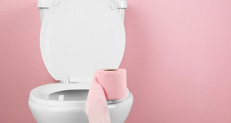 toilet pink toilet paper and pink wallpaper