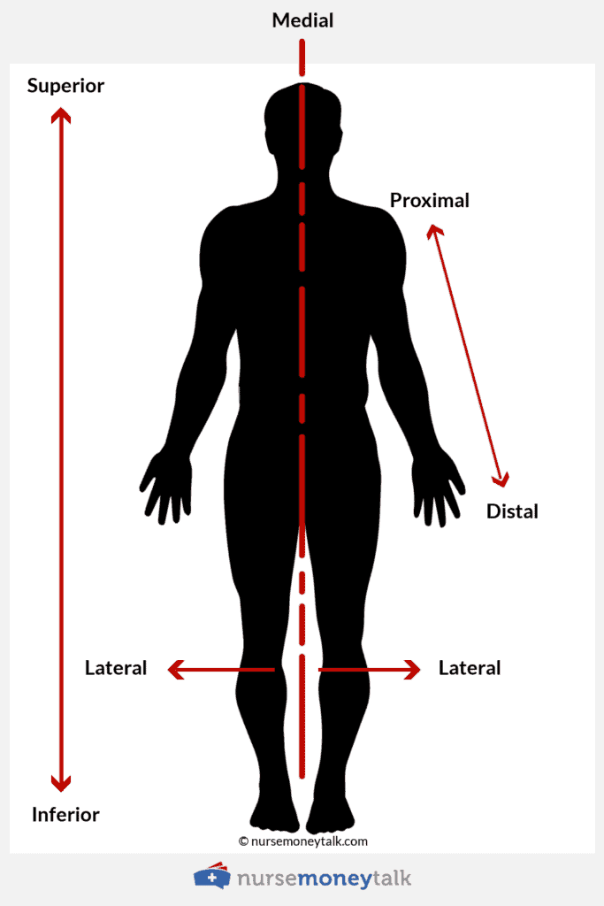 triple lumen central line proximal distal medial