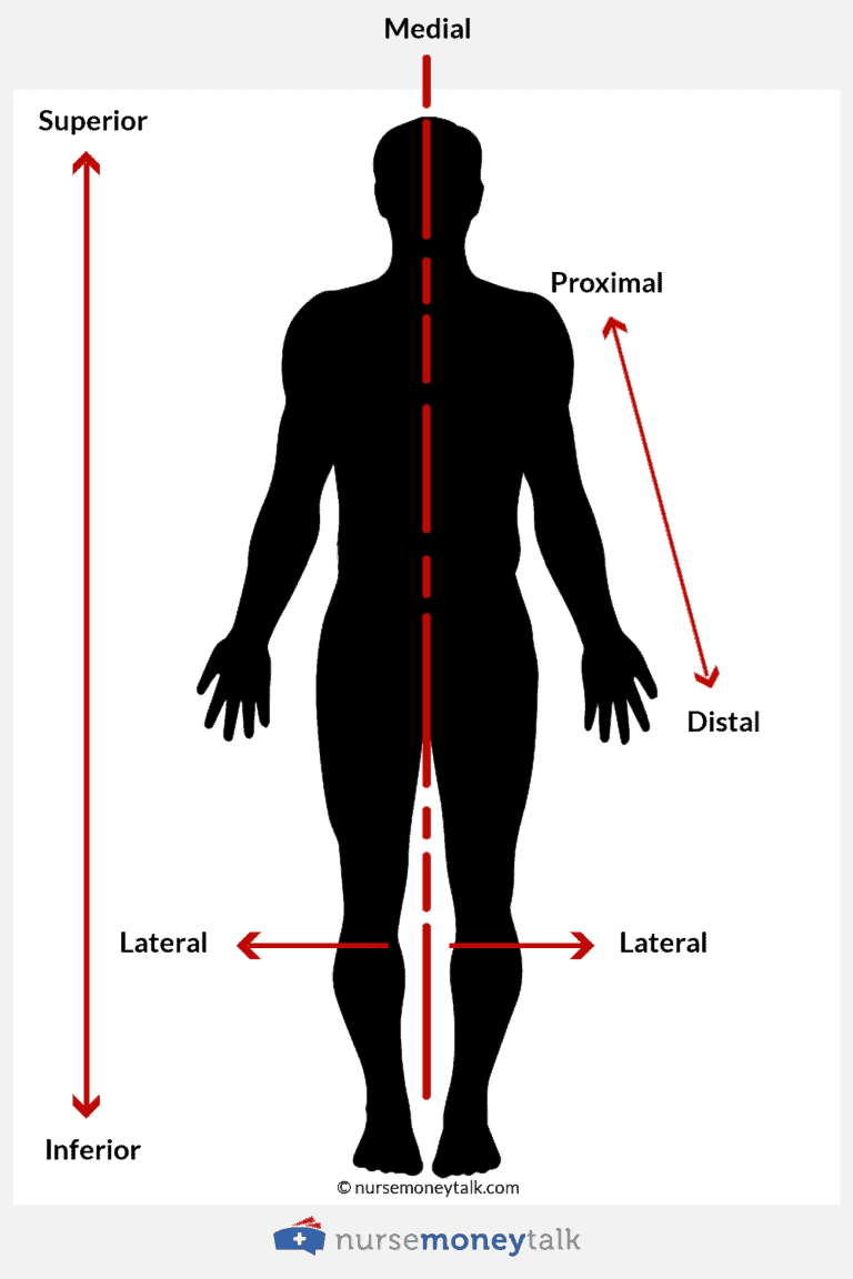 proximal-vs-distal-examples-diagram-nurse-money-talk