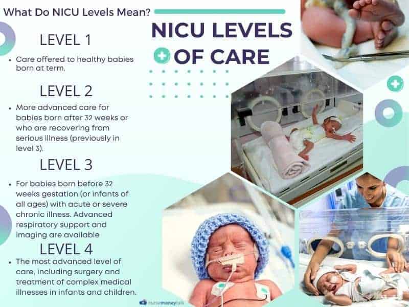 what do NICU levels mean